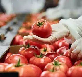 Food Facility Cleaning Chemicals